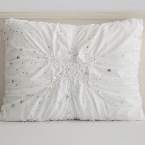 Set of 2 Pottery Barn Teen Harry Potter Ruched Celestial Standard Shams – EUC